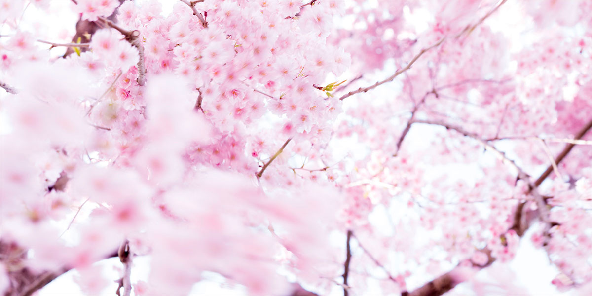 TIME DIRECTION 春分講座